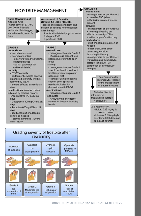 frostbite diagram.png